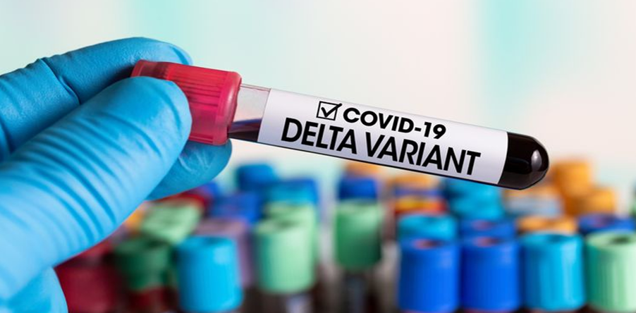 COVID-19 Varian Delta Pengaruhi Respon Sistem Imun